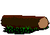 Seta-01.gif