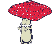 Seta-04.gif