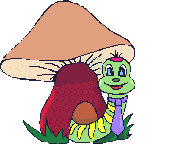 Seta-09.gif