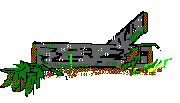 Seta-17.gif