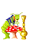 Seta-20.gif