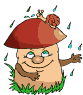 Seta-22.gif