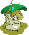 Seta-23.gif