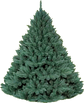arboles-72.gif