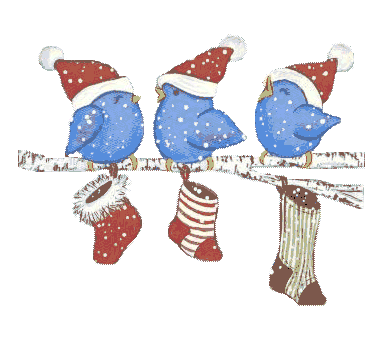 calcetines-01.gif