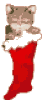 calcetines-09.gif