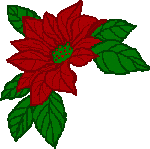 nadalas-01.gif