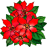 nadalas-02.gif