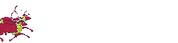 trineos-23.gif