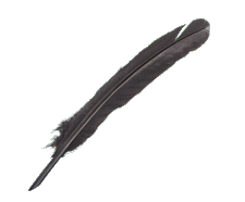Pluma-estilografica-08.gif