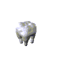 Dientes-04.gif