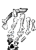 hand-2.gif