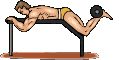 Musculoso-06.gif