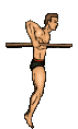 Musculoso-08.gif