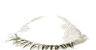 Ojos-01.gif