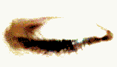 Ojos-32.gif