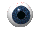 Ojos-65.gif