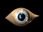 Ojos-68.gif