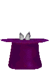 magos-22.gif