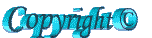 Copyright-07.gif