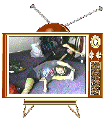 Televisores-14.gif