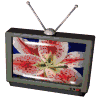 Televisores-25.gif