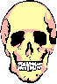 Calavera-04.gif