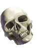 Calavera-26.gif