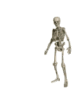 Esqueleto-04.gif