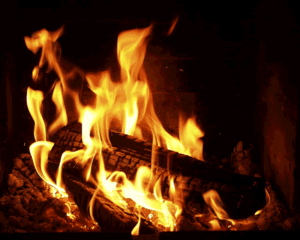 Fuego-16.gif