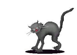 Gato-negro-16.gif