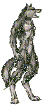 Hombre-lobo-05.gif