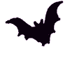 Murcielago-01.gif