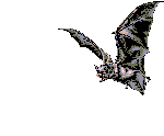 Murcielago-07.gif