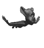 Murcielago-13.gif