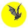 Murcielago-16.gif