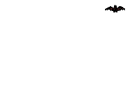 Murcielago-19.gif
