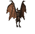 Murcielago-21.gif