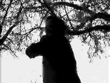 Terror-06.gif