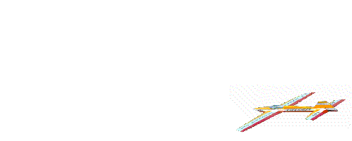 avion30.gif