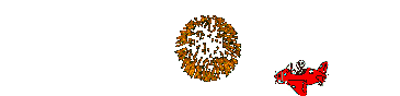 avion43.gif