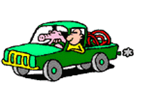 coche08.gif