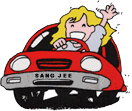 coche14.gif