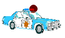 copcar4.gif