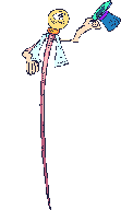 Baston-02.gif