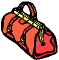 Bolso-12.gif