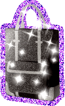 Bolso-29.gif