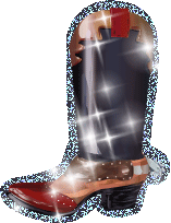 Bota-14.gif