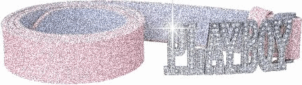 Cinturon-08.gif