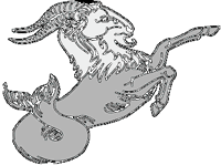 Capricornio-32.gif